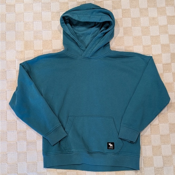 Abercrombie Kids Blue/Green Logo Hoodie Size 11/12 - Picture 2 of 3